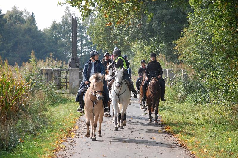 Tagesausritt Oktober 2008037.JPG